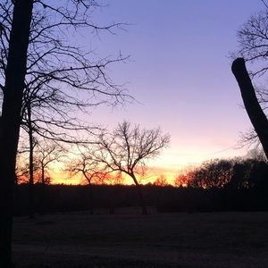 Meet your Posher, Bradley